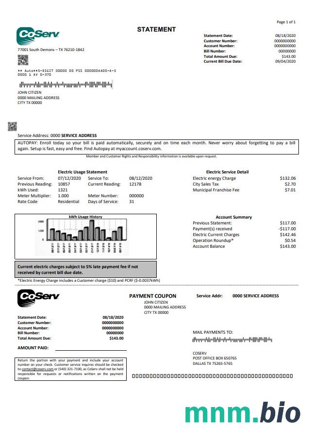 Szablon rachunku za media USA Texas CoServ w formacie Word i PDF